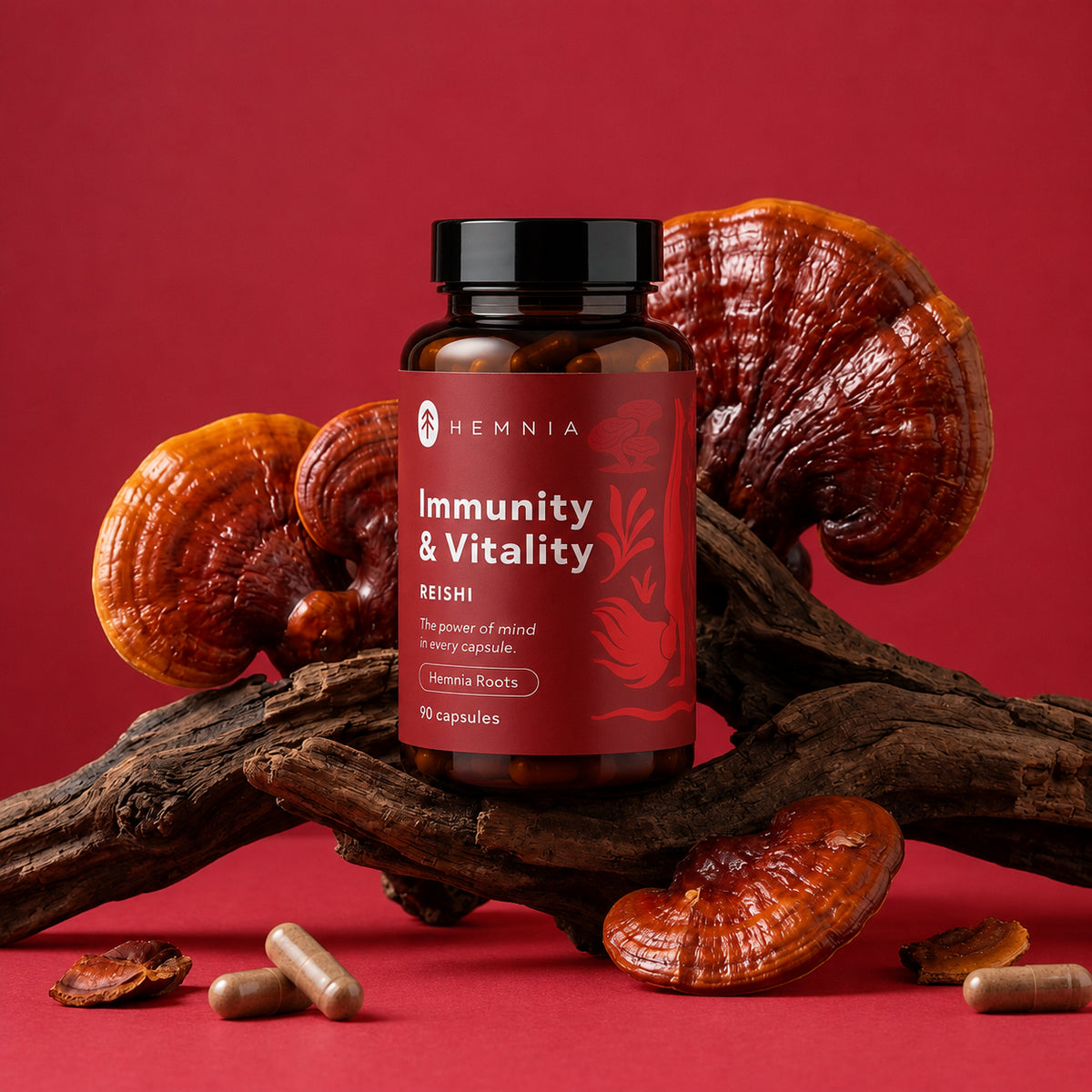 Reishi Imunity & vitality 90 capsules studio.webp