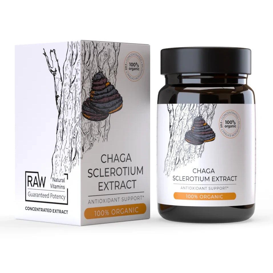 Organic Chaga Sclerotium Extract bottle and box featuring antioxidant support label and mushroom illustration.